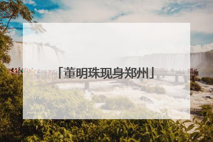 董明珠现身郑州