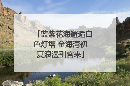 蓝紫花海邂逅白色灯塔 金海湾初夏浪漫引客来