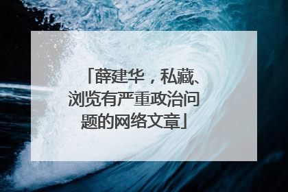 薛建华，私藏、浏览有严重政治问题的网络文章