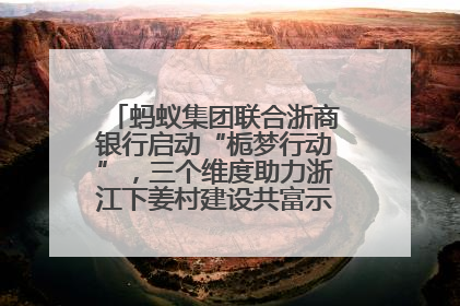 蚂蚁集团联合浙商银行启动“栀梦行动”，三个维度助力浙江下姜村建设共富示范区示范点