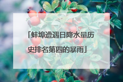 蚌埠遭遇日降水量历史排名第四的暴雨