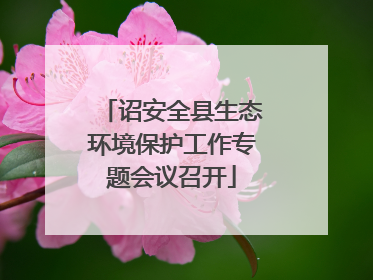 诏安全县生态环境保护工作专题会议召开