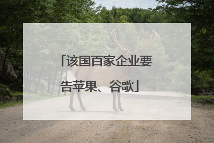 该国百家企业要告苹果、谷歌