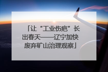 让“工业伤疤”长出春天——辽宁加快废弃矿山治理观察