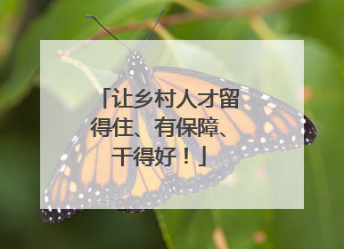 让乡村人才留得住、有保障、干得好！