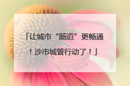 让城市“肠道”更畅通！沙市城管行动了！