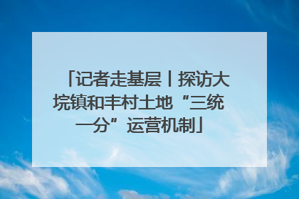 记者走基层丨探访大垸镇和丰村土地“三统一分”运营机制