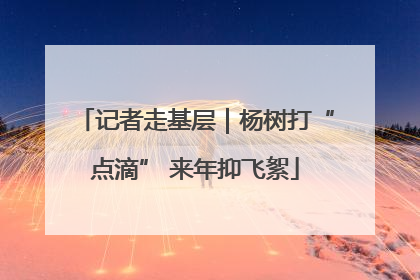 记者走基层｜杨树打“点滴” 来年抑飞絮