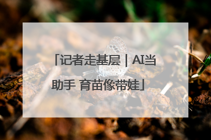 记者走基层｜AI当助手 育苗像带娃