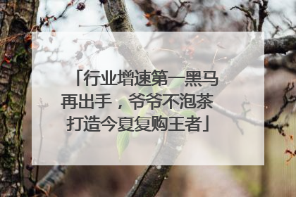 行业增速第一黑马再出手，爷爷不泡茶打造今夏复购王者