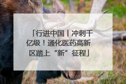行进中国丨冲刺千亿级！通化医药高新区踏上“新”征程