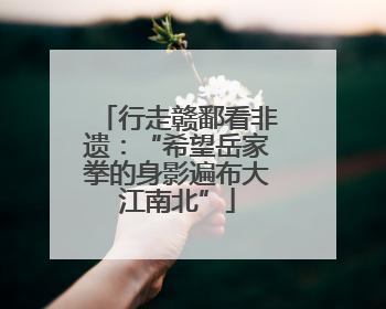 行走赣鄱看非遗：“希望岳家拳的身影遍布大江南北”