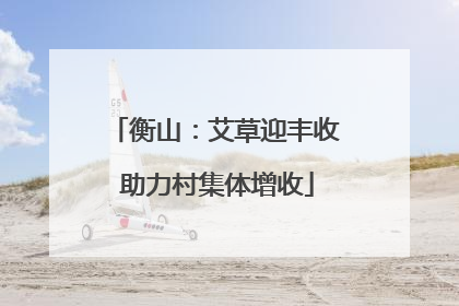 衡山：艾草迎丰收 助力村集体增收
