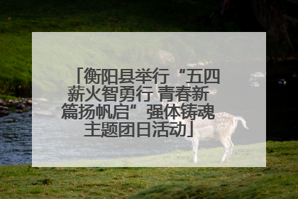 衡阳县举行“五四薪火智勇行 青春新篇扬帆启”强体铸魂主题团日活动