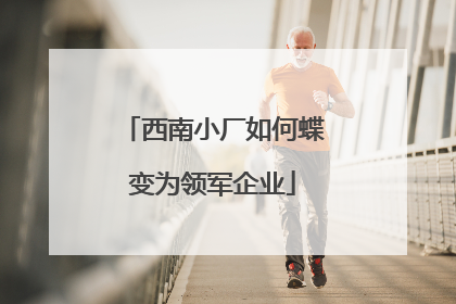 西南小厂如何蝶变为领军企业