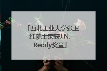 西北工业大学张卫红院士荣获J.N.Reddy奖章
