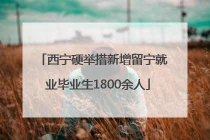 西宁硬举措新增留宁就业毕业生1800余人