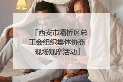西安市灞桥区总工会组织集体协商现场观摩活动