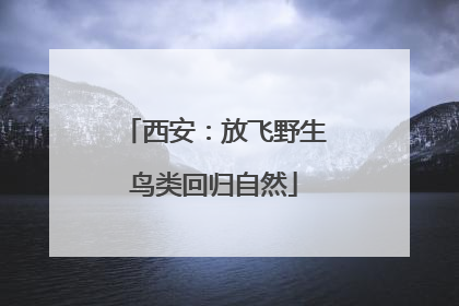 西安：放飞野生鸟类回归自然