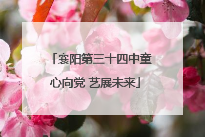 襄阳第三十四中童心向党 艺展未来