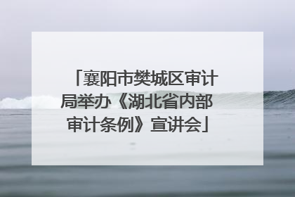 襄阳市樊城区审计局举办《湖北省内部审计条例》宣讲会