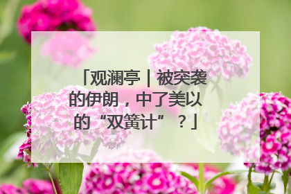 观澜亭｜被突袭的伊朗，中了美以的“双簧计”？