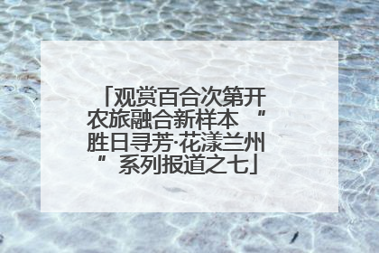 观赏百合次第开 农旅融合新样本 “胜日寻芳·花漾兰州”系列报道之七