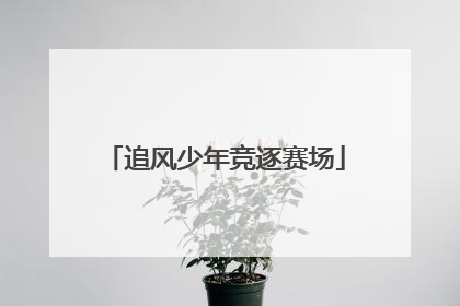 追风少年竞逐赛场