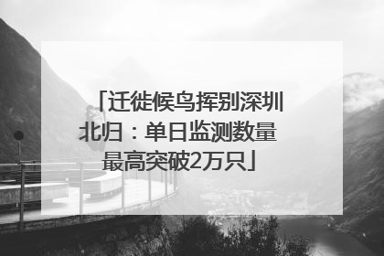 迁徙候鸟挥别深圳北归：单日监测数量最高突破2万只