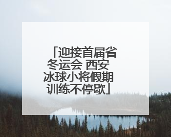 迎接首届省冬运会 西安冰球小将假期训练不停歇