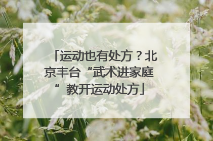 运动也有处方？北京丰台“武术进家庭”教开运动处方