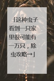 这种虫子看到一只家里很可能有一万只，除虫攻略→