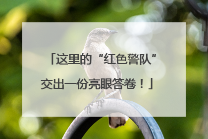 这里的“红色警队”交出一份亮眼答卷！