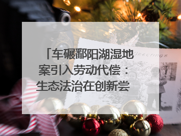 车碾鄱阳湖湿地案引入劳动代偿：生态法治在创新尝试｜有一说一