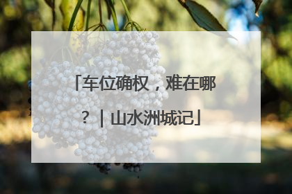 车位确权，难在哪？｜山水洲城记