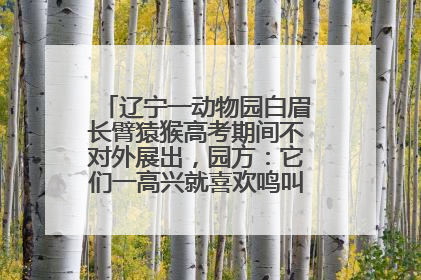 辽宁一动物园白眉长臂猿猴高考期间不对外展出，园方：它们一高兴就喜欢鸣叫，怕影响考试