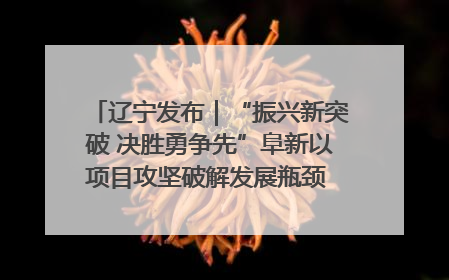 辽宁发布｜“振兴新突破 决胜勇争先”阜新以项目攻坚破解发展瓶颈 经济发展实现良好开局