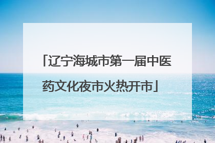 辽宁海城市第一届中医药文化夜市火热开市