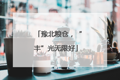 豫北粮仓，“丰”光无限好