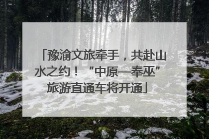豫渝文旅牵手，共赴山水之约！“中原—奉巫”旅游直通车将开通
