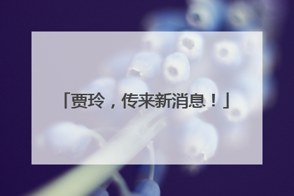 贾玲，传来新消息！