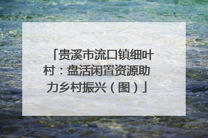 贵溪市流口镇细叶村：盘活闲置资源助力乡村振兴（图）