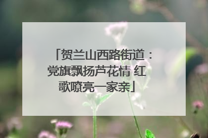 贺兰山西路街道：党旗飘扬芦花情 红歌嘹亮一家亲