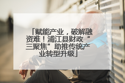 赋能产业，破解融资难！浦江县财政“三聚焦”助推传统产业转型升级
