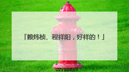 赖炜桢、程祥阳，好样的！