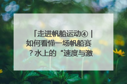 走进帆船运动④｜如何看懂一场帆船赛？水上的“速度与激情”同样精彩