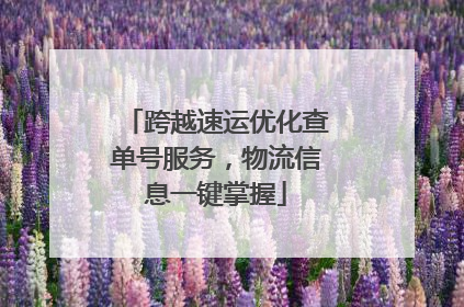 跨越速运优化查单号服务，物流信息一键掌握