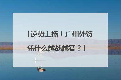 逆势上扬！广州外贸凭什么越战越猛？