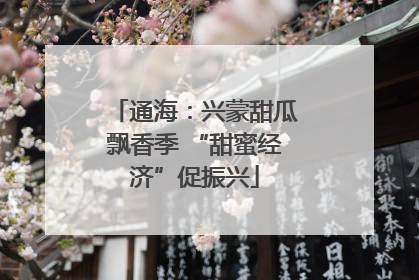 通海：兴蒙甜瓜飘香季 “甜蜜经济”促振兴