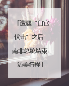 遭遇“白宫伏击”之后 南非总统结束访美行程